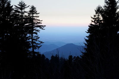 Silhouette trees by mountains against sky during sunset