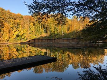 Reflection of trees in lake during autumn