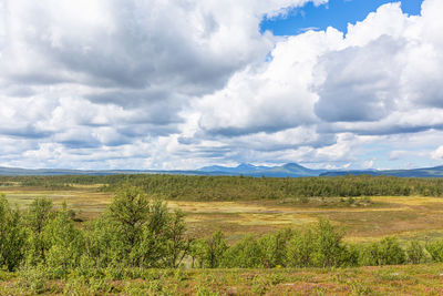 Scenic view of field against sky