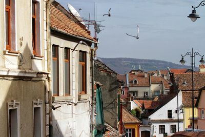 Buildings in city