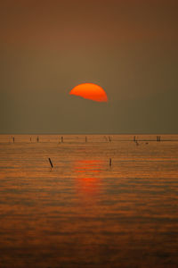 Silhouette birds flying over sea against orange sky