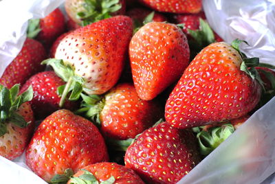 Close-up of strawberries