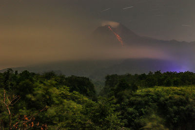 Scenic view of forest against sky