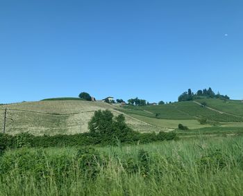 Scenic view of field against clear blue sky