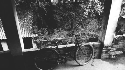 Bicycle against trees