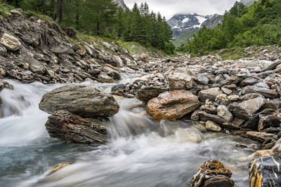 Scenic view of waterfall in forest