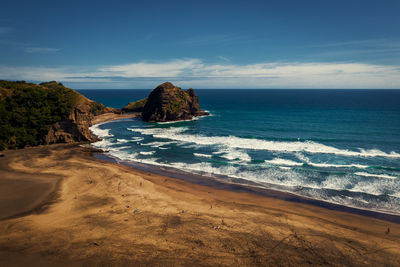 The lovely piha beach around the famous lion rock, new zealand