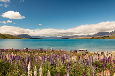 Scenic view of sea against cloudy sky