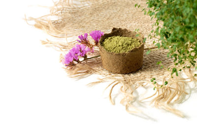 Close-up of purple flowering plant against white background