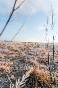 Scenic view of land against sky