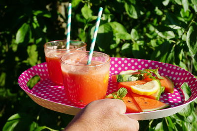 Cropped hand holding drinks against plants