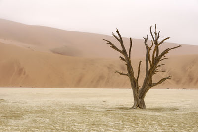 Scenic view of desert against sky