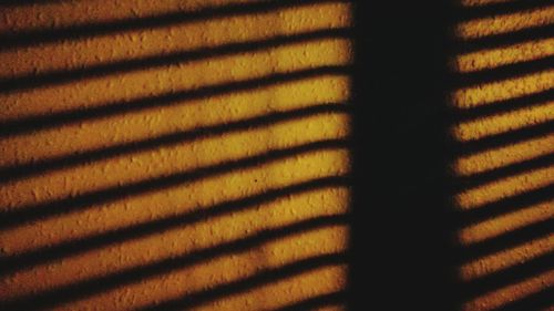Close-up of sunlight