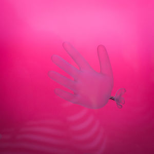 Close-up of floating plastic glove over pink background