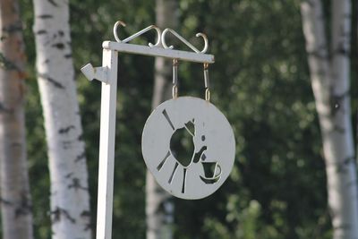 Close-up of information sign hanging on metal plant