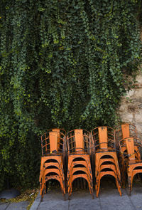 Orange outdoor chairs against plant wall. shot in madrid, spain