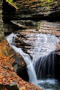 Scenic view of waterfall in forest during autumn