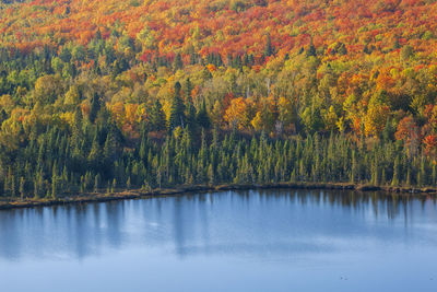 Scenic view of lake