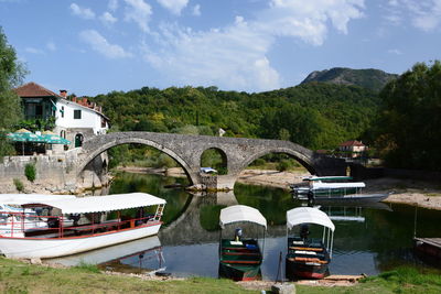 Arch bridge over river against trees