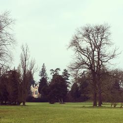 Trees on field against clear sky
