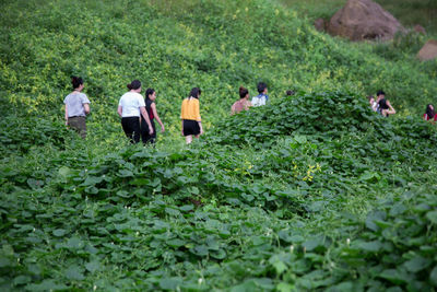 People by plants in forest