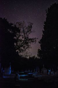 Silhouette trees against sky at night