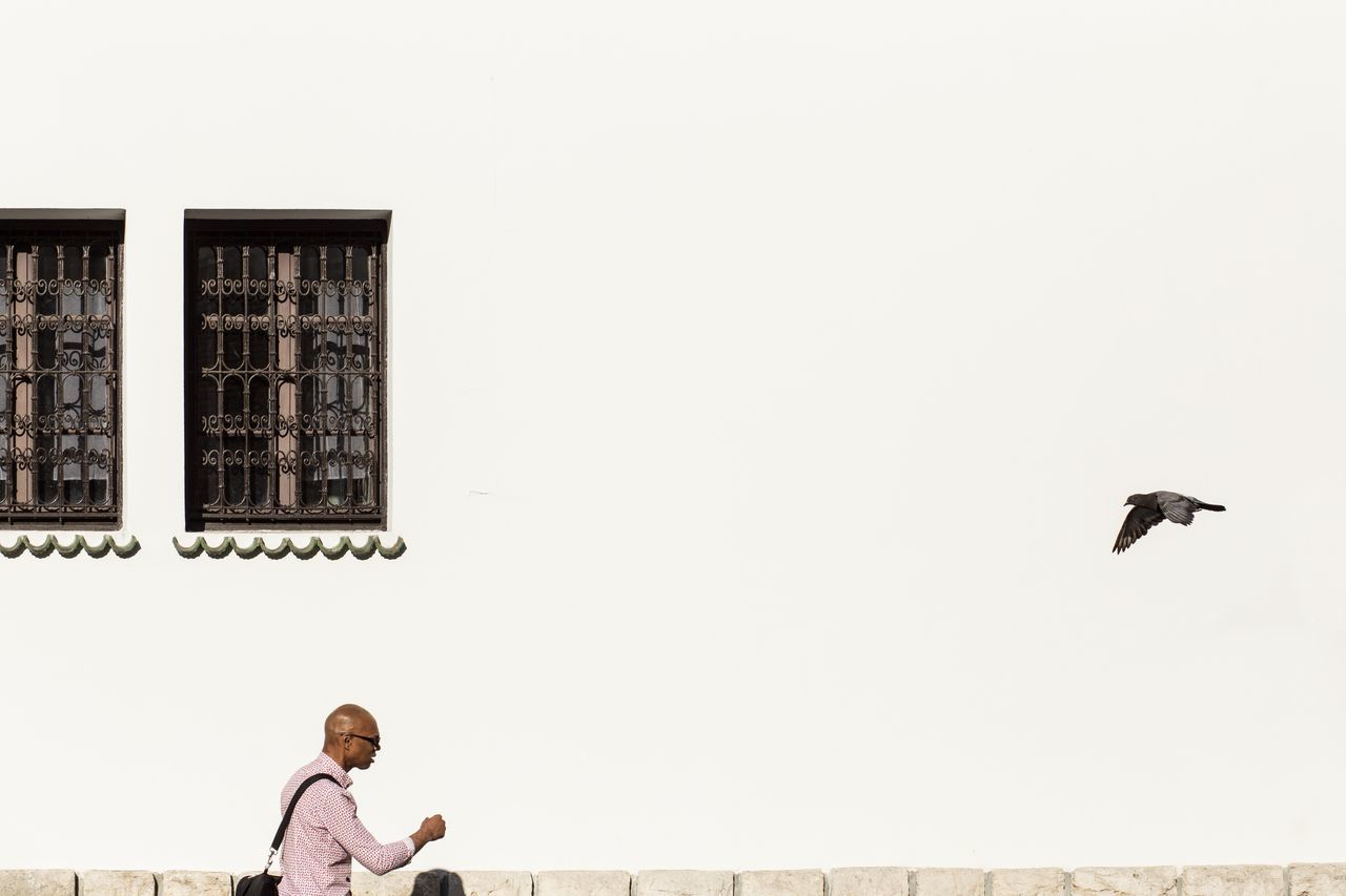 copy space, one person, real people, architecture, built structure, clear sky, men, leisure activity, day, building exterior, lifestyles, sky, bird, waist up, nature, sitting, outdoors, portrait