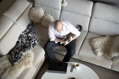Mature man and cat using laptop on sofa at home during quarantine of coronavirus covid-19