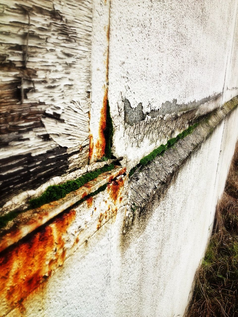 built structure, architecture, building exterior, wall - building feature, plant, weathered, the way forward, no people, day, outdoors, house, abandoned, wall, old, sunlight, growth, reflection, window, close-up, street