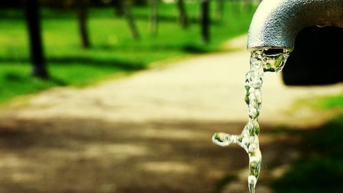 Close-up of water flowing from faucet against footpath in garden