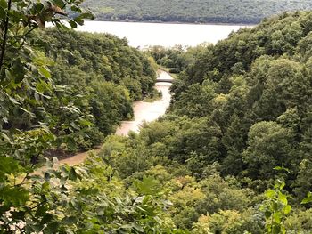 High angle view of waterfall amidst trees in forest