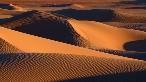 Full frame shot of sand dune