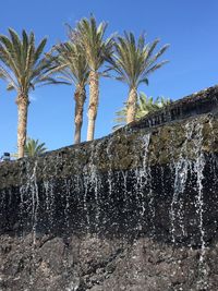 Low angle view of palm trees against clear blue sky