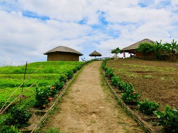 Footpath amidst field and houses against sky