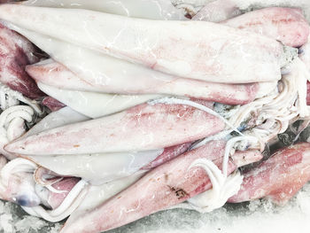 High angle view of fish for sale in market