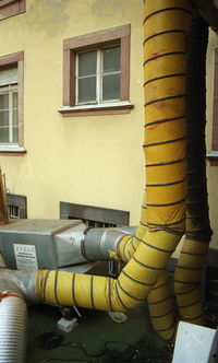 Close-up of yellow window