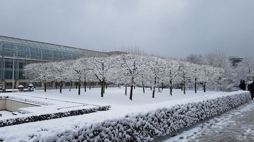 Snow covered trees against sky