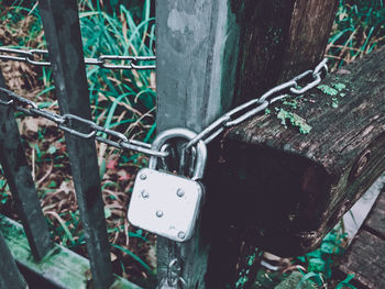 Close-up of padlocks on fence