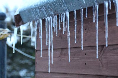 Close-up of icicles