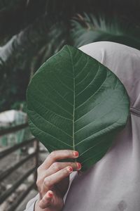 Close-up of hand holding leaves