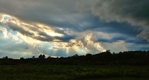 Scenic view of field against sky during sunset