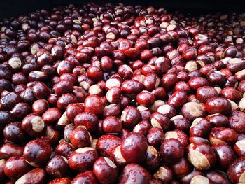 Fruits of autumn from the forest