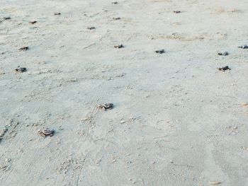 Full frame shot of water