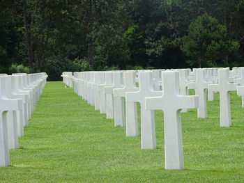 Row of cemetery against trees