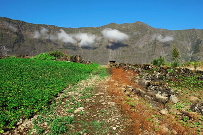 Scenic view of land and mountains against clear sky