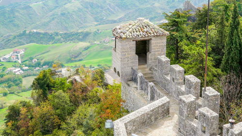 Built structure on tree by building against mountain