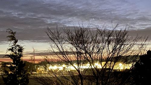 Silhouette bare trees by plants against sky during sunset