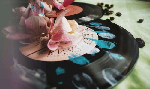 High angle view of multi colored flower on table