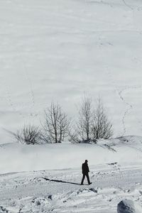 Rear view of man standing on snow field against sky