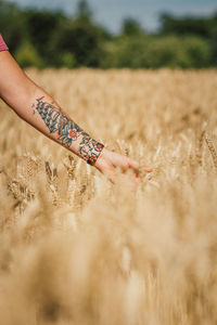 Cropped hand of person touching plants